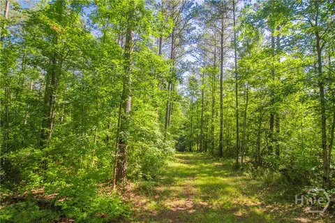 0 Weaver Jones Rd, Rutledge, GA 30663 photo 14