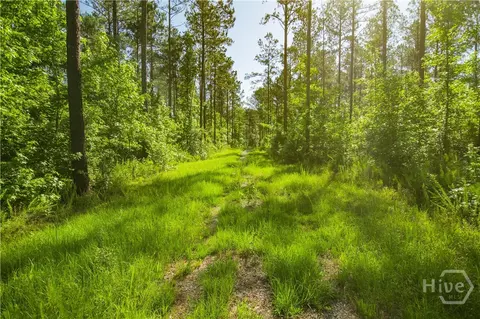 0 Weaver Jones Rd, Rutledge, GA 30663