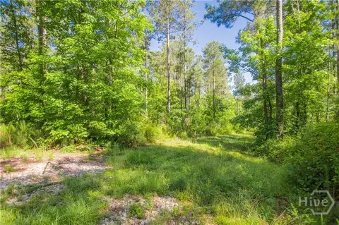 0 Weaver Jones Rd, Rutledge, GA 30663 photo 19