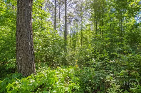 0 Weaver Jones Rd, Rutledge, GA 30663 photo 22