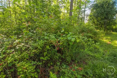 0 Weaver Jones Rd, Rutledge, GA 30663 photo 20