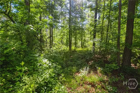 0 Weaver Jones Rd, Rutledge, GA 30663 photo 18