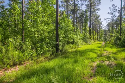0 Weaver Jones Rd, Rutledge, GA 30663 photo 2