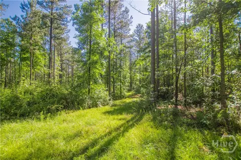0 Weaver Jones Rd, Rutledge, GA 30663 photo 13