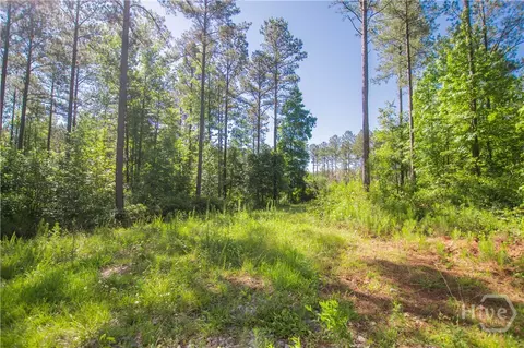 0 Weaver Jones Rd, Rutledge, GA 30663 photo 17