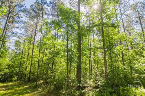 0 Weaver Jones Rd, Rutledge, GA 30663 photo 15