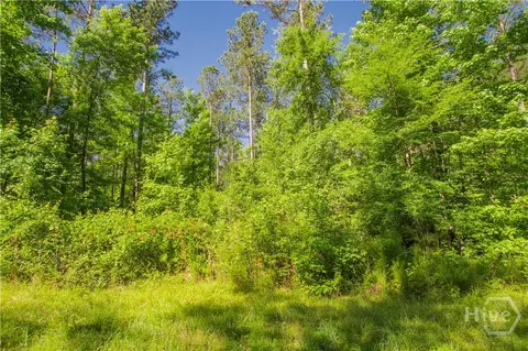 0 Weaver Jones Rd, Rutledge, GA 30663 photo 28