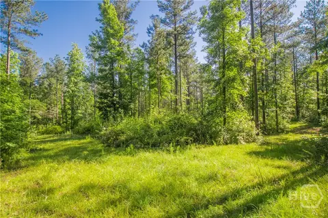 0 Weaver Jones Rd, Rutledge, GA 30663 photo 3