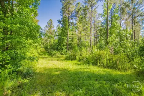 0 Weaver Jones Rd, Rutledge, GA 30663 photo 24