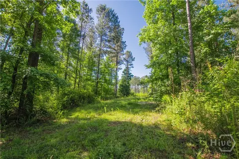 0 Weaver Jones Rd, Rutledge, GA 30663 photo 10