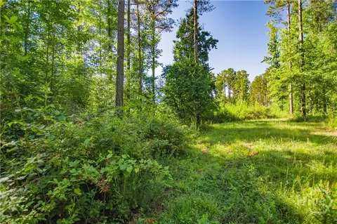 0 Weaver Jones Rd, Rutledge, GA 30663 photo 21