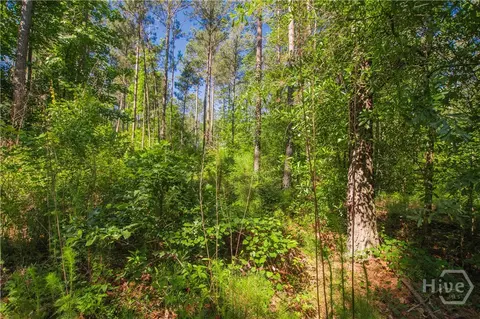 0 Weaver Jones Rd, Rutledge, GA 30663 photo 11