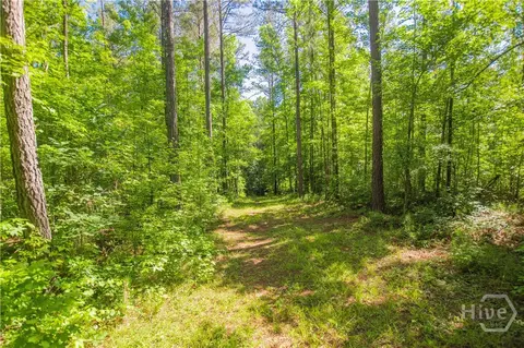 0 Weaver Jones Rd, Rutledge, GA 30663 photo 16