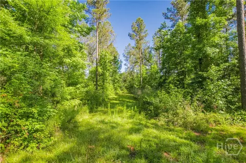 0 Weaver Jones Rd, Rutledge, GA 30663 photo 26