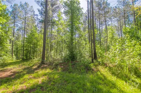 0 Weaver Jones Rd, Rutledge, GA 30663 photo 27