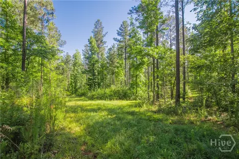 0 Weaver Jones Rd, Rutledge, GA 30663 photo 12