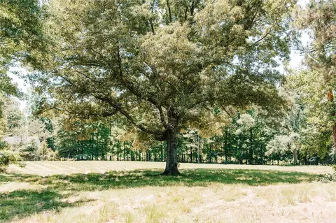 0 Mitchell Farm Rd, Colbert, GA 30628 photo 13