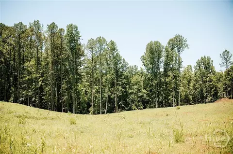 0 Mitchell Farm Rd, Colbert, GA 30628 photo 24