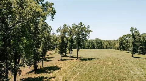 0 Mitchell Farm Rd, Colbert, GA 30628 photo 9