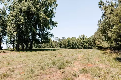 0 Mitchell Farm Rd, Colbert, GA 30628 photo 13
