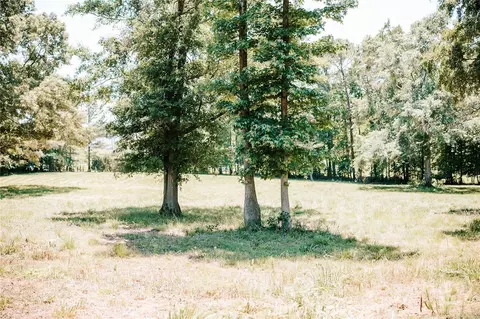0 Mitchell Farm Rd, Colbert, GA 30628 photo 39