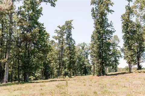 0 Mitchell Farm Rd, Colbert, GA 30628 photo 21