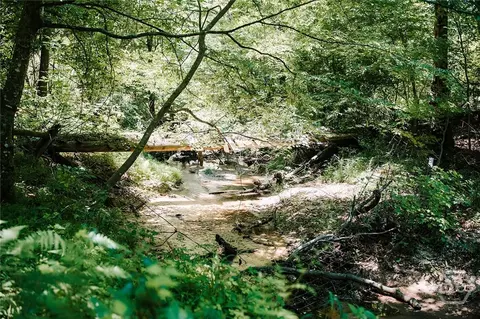 0 Mitchell Farm Rd, Colbert, GA 30628 photo 7