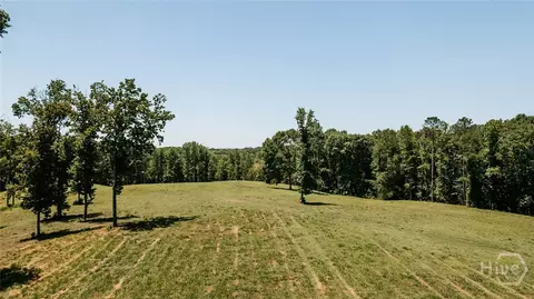 0 Mitchell Farm Rd, Colbert, GA 30628 photo 12
