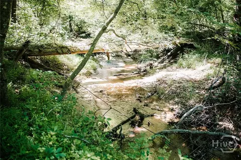 0 Mitchell Farm Rd, Colbert, GA 30628 photo 6