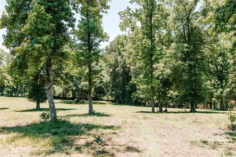 0 Mitchell Farm Rd, Colbert, GA 30628 photo 19