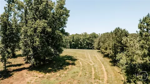0 Mitchell Farm Rd, Colbert, GA 30628 photo 42