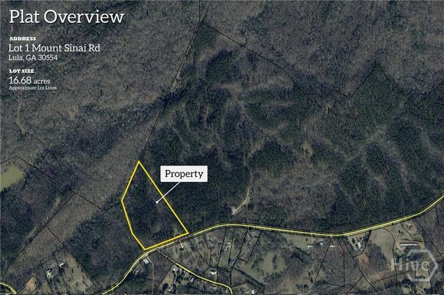 0 Mt Sinai Rd #LOT 1, Lula, GA 30554