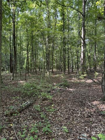 0 Beaverdam Rd, Winterville, GA 30648