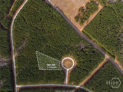 1331 Magnolia Ct, Tignall, GA 30668