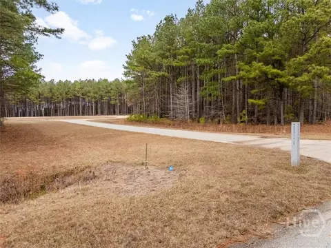 0 Magnolia Ct, Tignall, GA 30668 photo 12