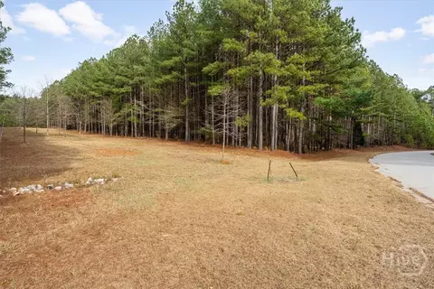 0 Rogers Rd, Tignall, GA 30668 photo 11