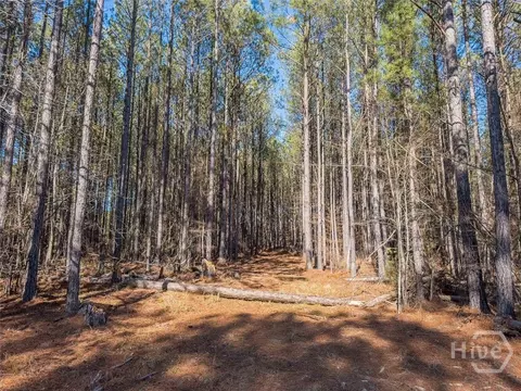 0 Rogers Rd, Tignall, GA 30668 photo 5