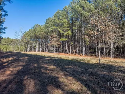 0 Rogers Rd, Tignall, GA 30668 photo 4