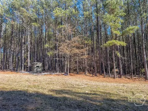0 Rogers Rd, Tignall, GA 30668 photo 10