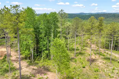 0 Mt Sinai #LOT 9, Lula, GA 30554 photo 38