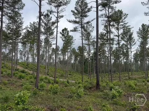 0 Mt Sinai #LOT 9, Lula, GA 30554 photo 47
