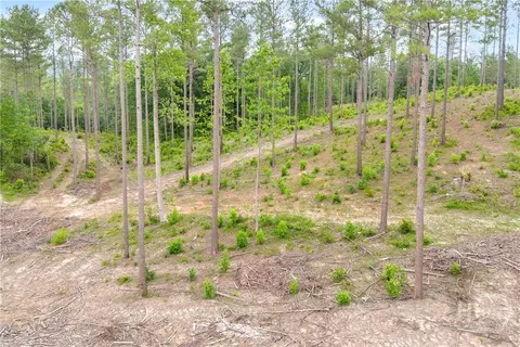 0 Mt Sinai #LOT 9, Lula, GA 30554 photo 21