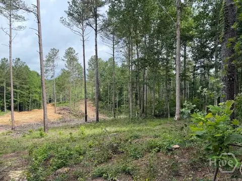 0 Mt Sinai #LOT 9, Lula, GA 30554 photo 54
