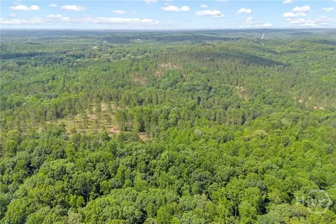 0 Mt Sinai #LOT 9, Lula, GA 30554 photo 12
