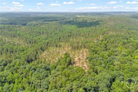 0 Mt Sinai #LOT 9, Lula, GA 30554 photo 11