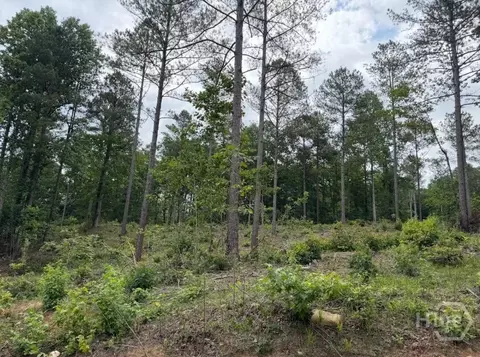 0 Mt Sinai #LOT 9, Lula, GA 30554 photo 57