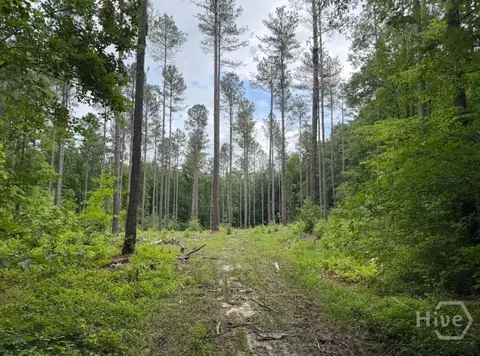 0 Mt Sinai #LOT 9, Lula, GA 30554 photo 60