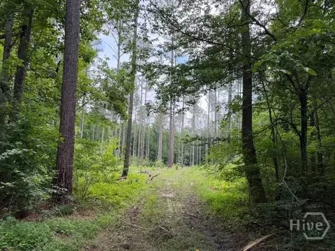 0 Mt Sinai #LOT 9, Lula, GA 30554 photo 58