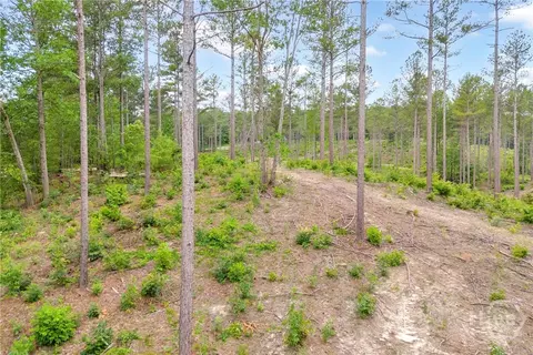 0 Mt Sinai #LOT 9, Lula, GA 30554 photo 29