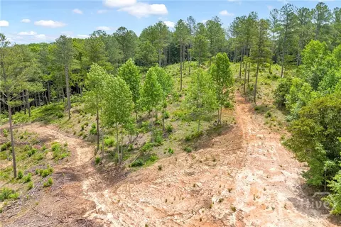 0 Mt Sinai #LOT 9, Lula, GA 30554 photo 36